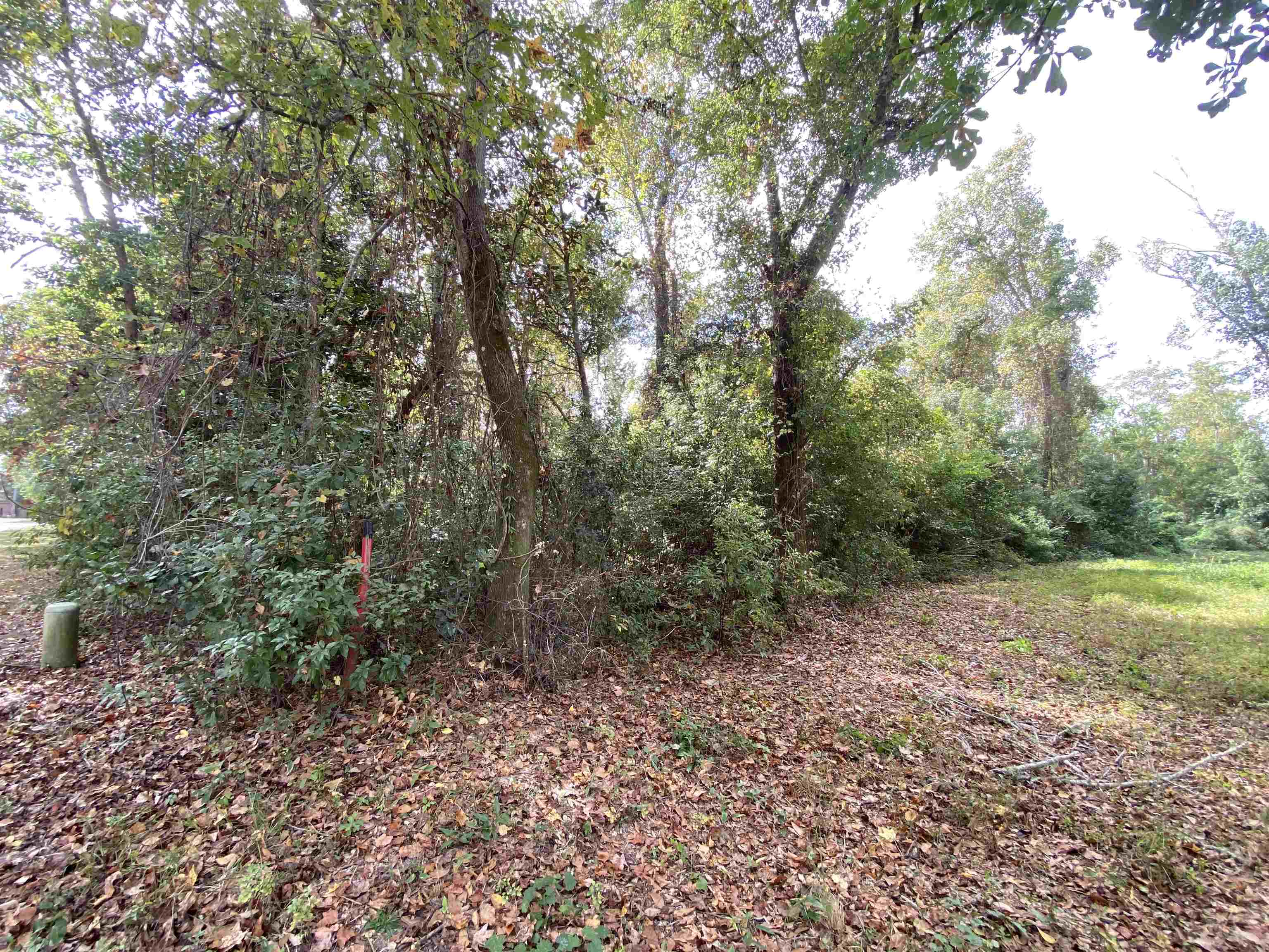 26 Polo Ridge Boulevard Fairhope, AL 36532 - Photo 7 of 14