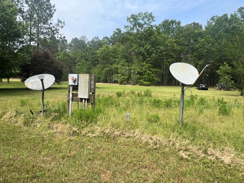804 Glynn Willis Road Meigs, GA 31765 - Photo 13 of 17 Gallery Image 13