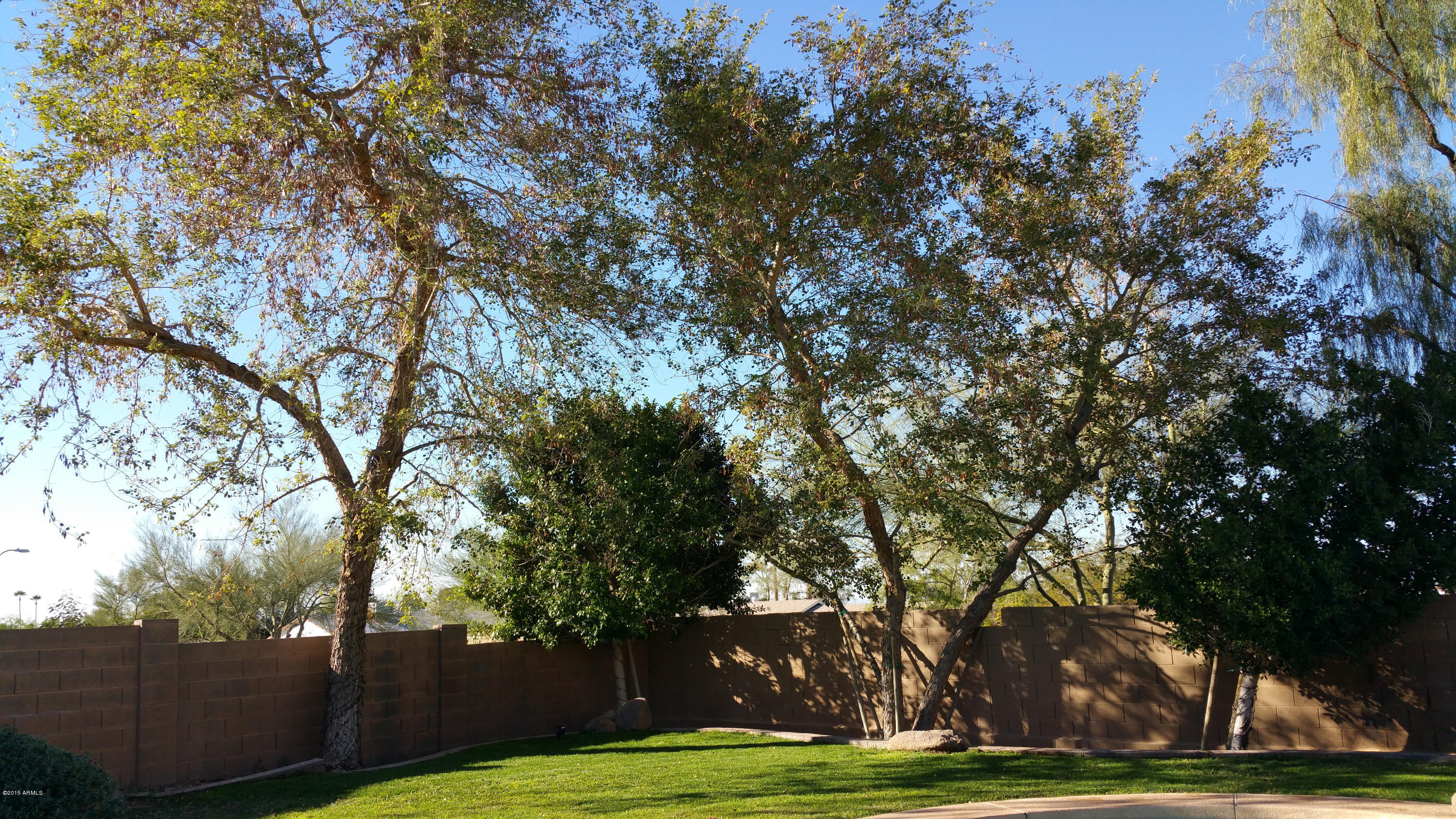 1342 East Pedro Road Phoenix, AZ 85042 - Photo 13 of 45 20150217_160410