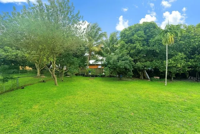 a green field with lots of trees in it
