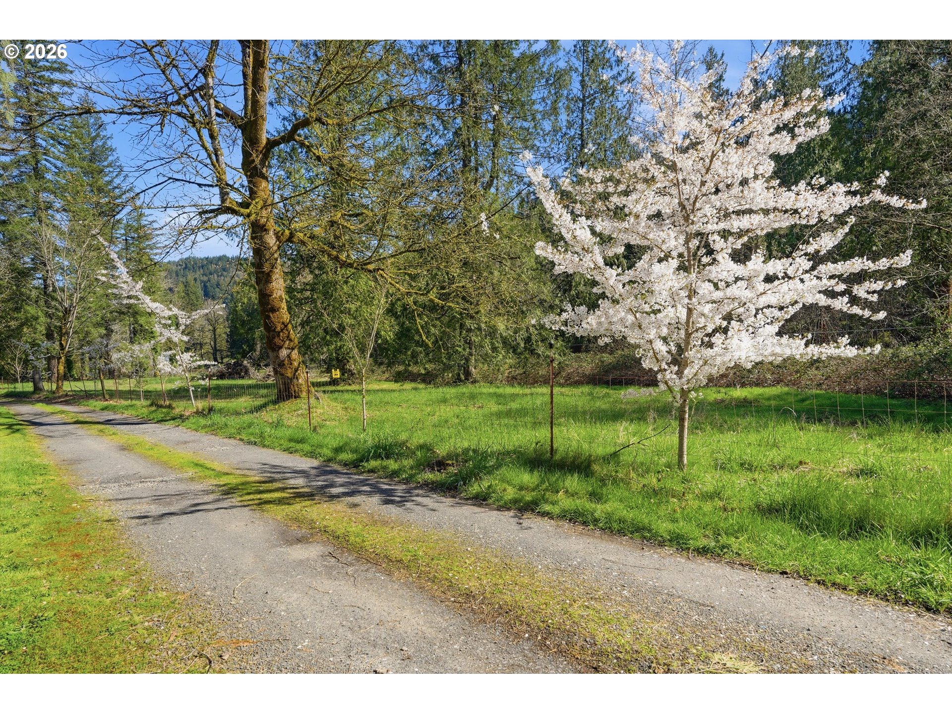 55775 Highway 26 Sandy, OR 97055 - Photo 34 of 47