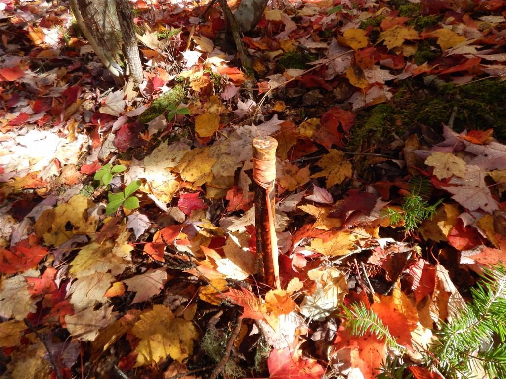 Lot 38 Grand Marsh Bay Road Corea, ME 04624 - Photo 2 of 17 Photo