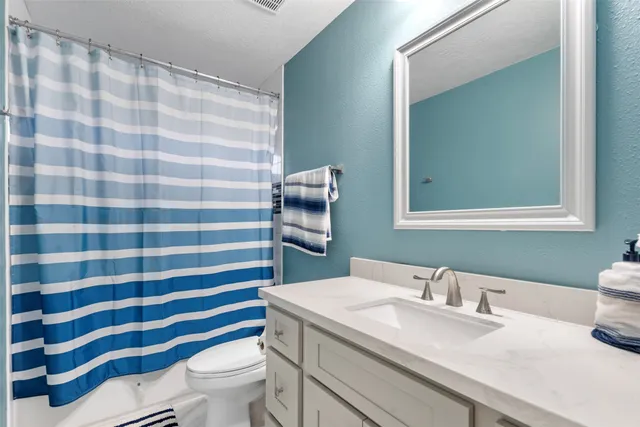 a bathroom with a sink a toilet a mirror and shower curtain