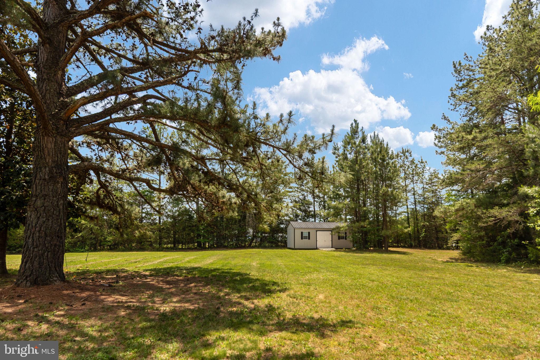 22088 Landora Bridge Road Ruther Glen, VA 22546 - Photo 120 of 122 Serene retreat among towering pines.