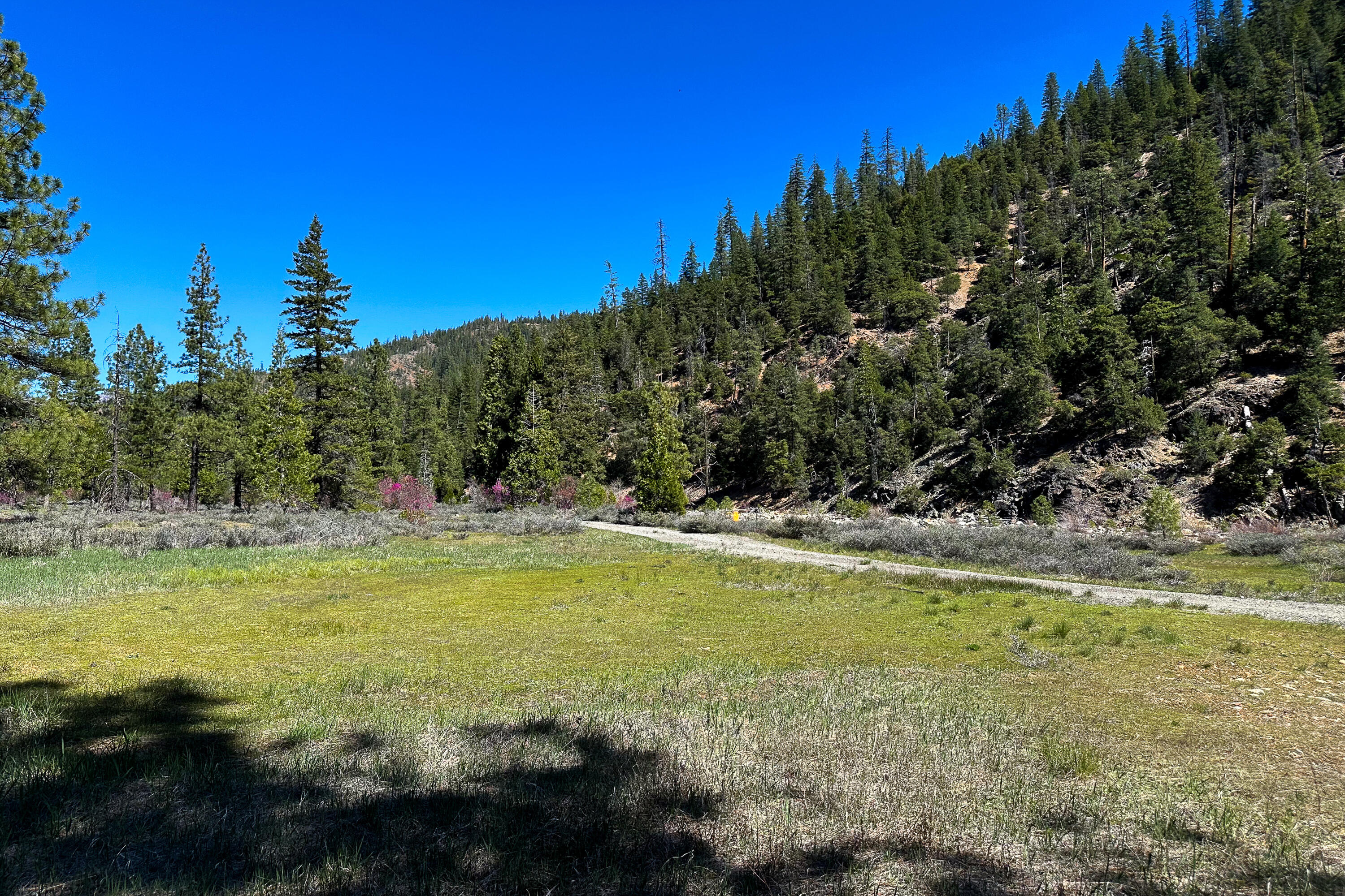 79402 Highway 3 Trinity Center, CA 96091 - Photo 11 of 35 Photo 0034300900 P