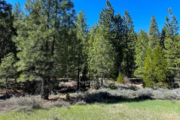 $40,000 | 79402 Highway 3, Trinity Center, CA 96091