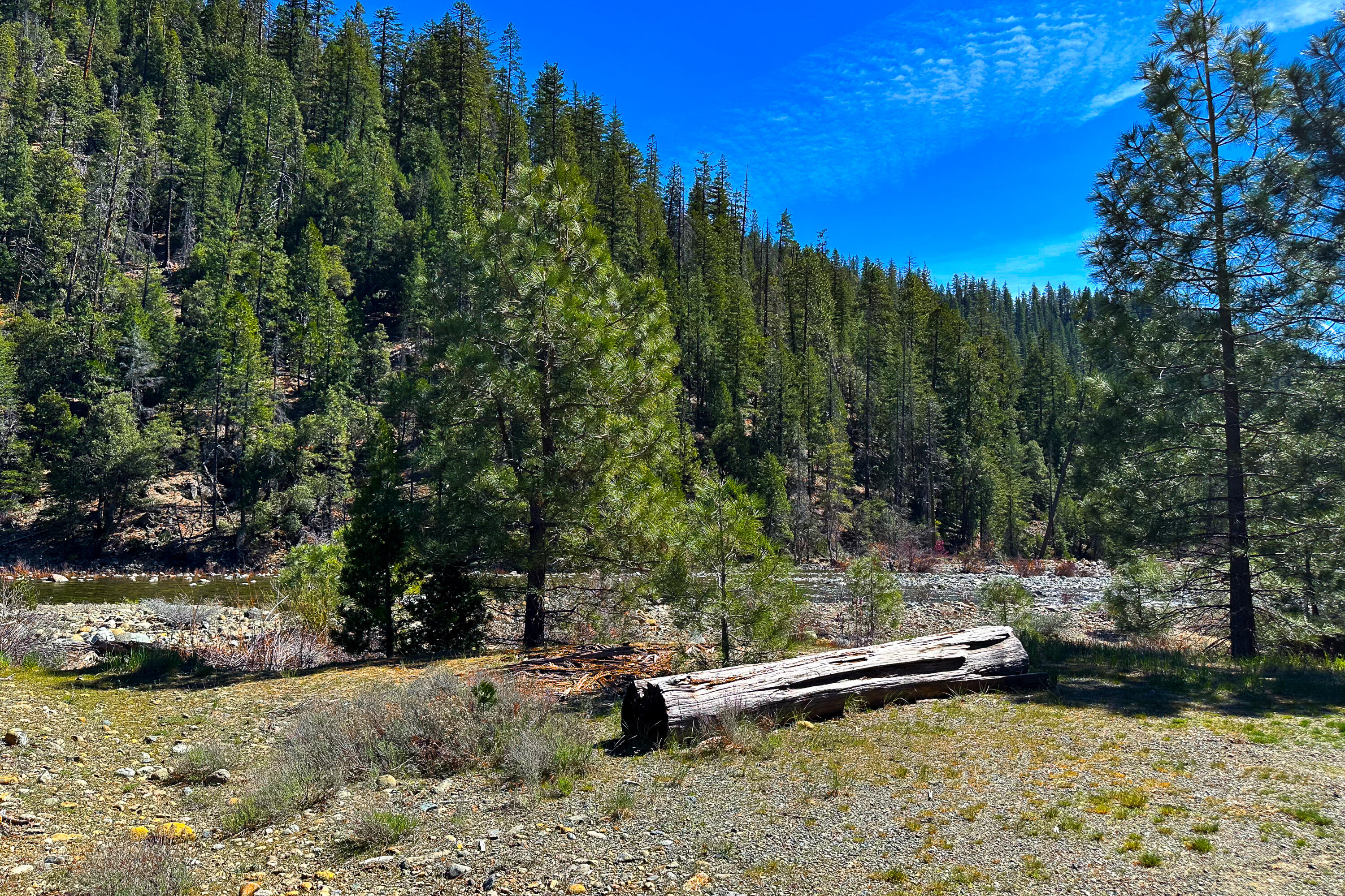 79402 Highway 3 Trinity Center, CA 96091 - Photo 15 of 35 Photo 0034300900 S