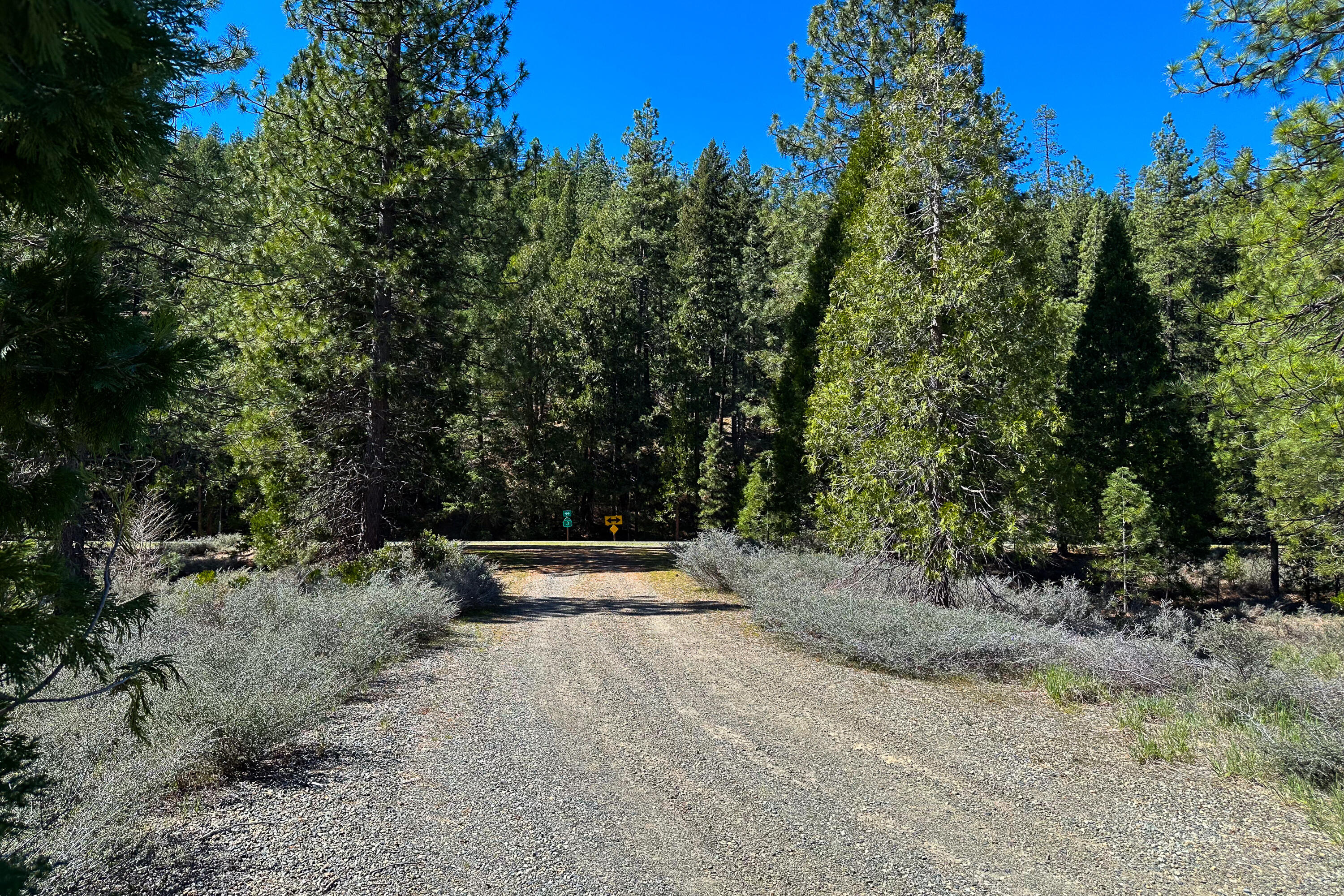 79402 Highway 3 Trinity Center, CA 96091 - Photo 16 of 35 Photo 0034300900 U