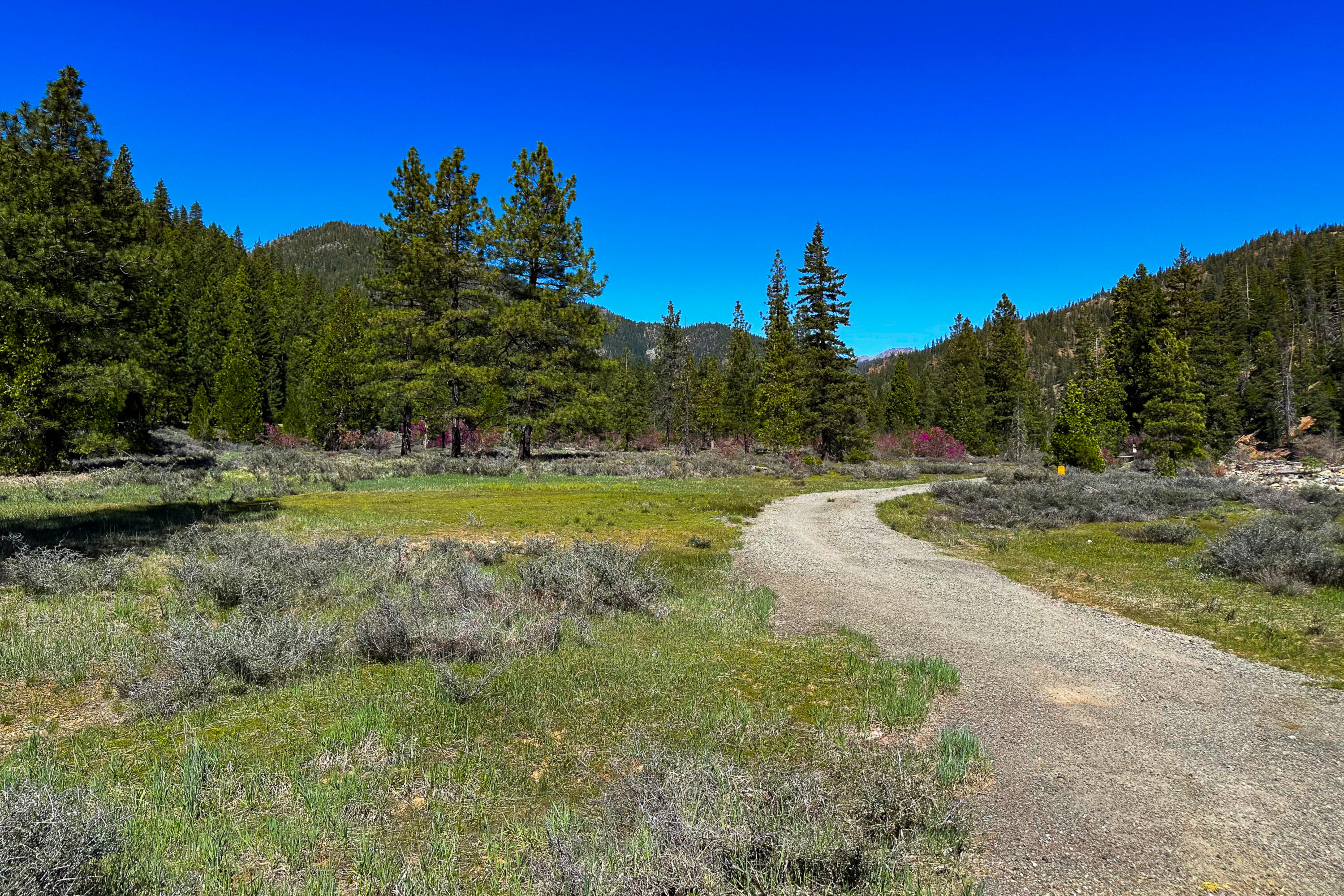 79402 Highway 3 Trinity Center, CA 96091 - Photo 17 of 35 Photo 0034300900 T