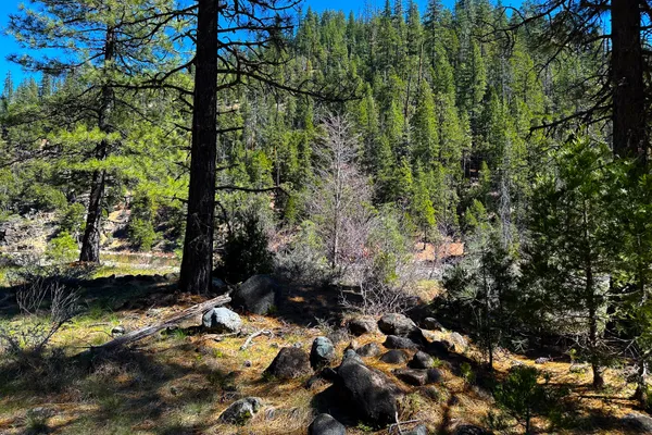 $40,000 | 79402 Highway 3, Trinity Center, CA 96091