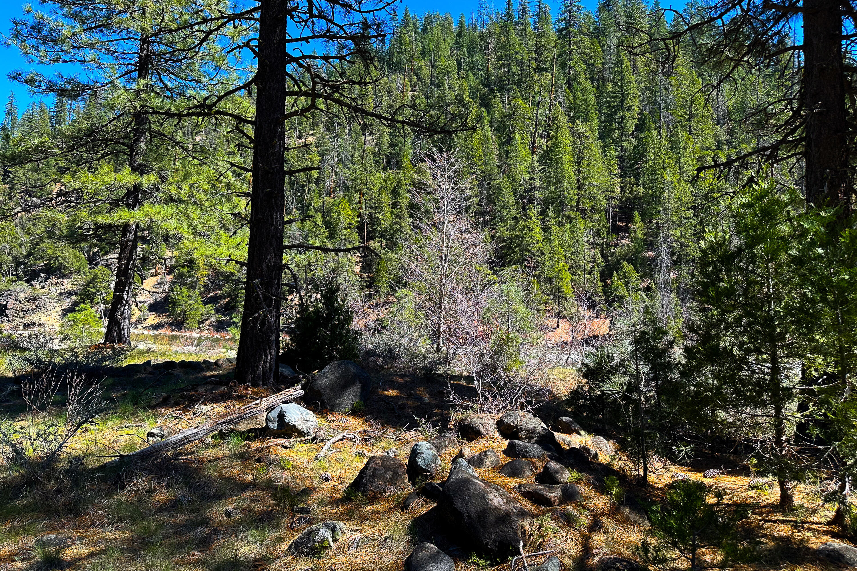 79402 Highway 3 Trinity Center, CA 96091 - Photo 18 of 35 Photo 0034300900 V