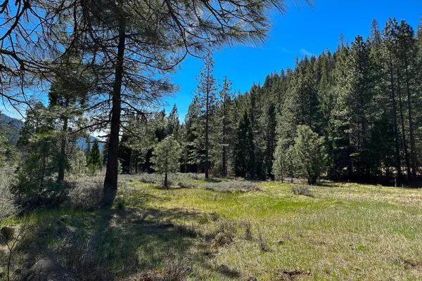 $40,000 | 79402 Highway 3, Trinity Center, CA 96091