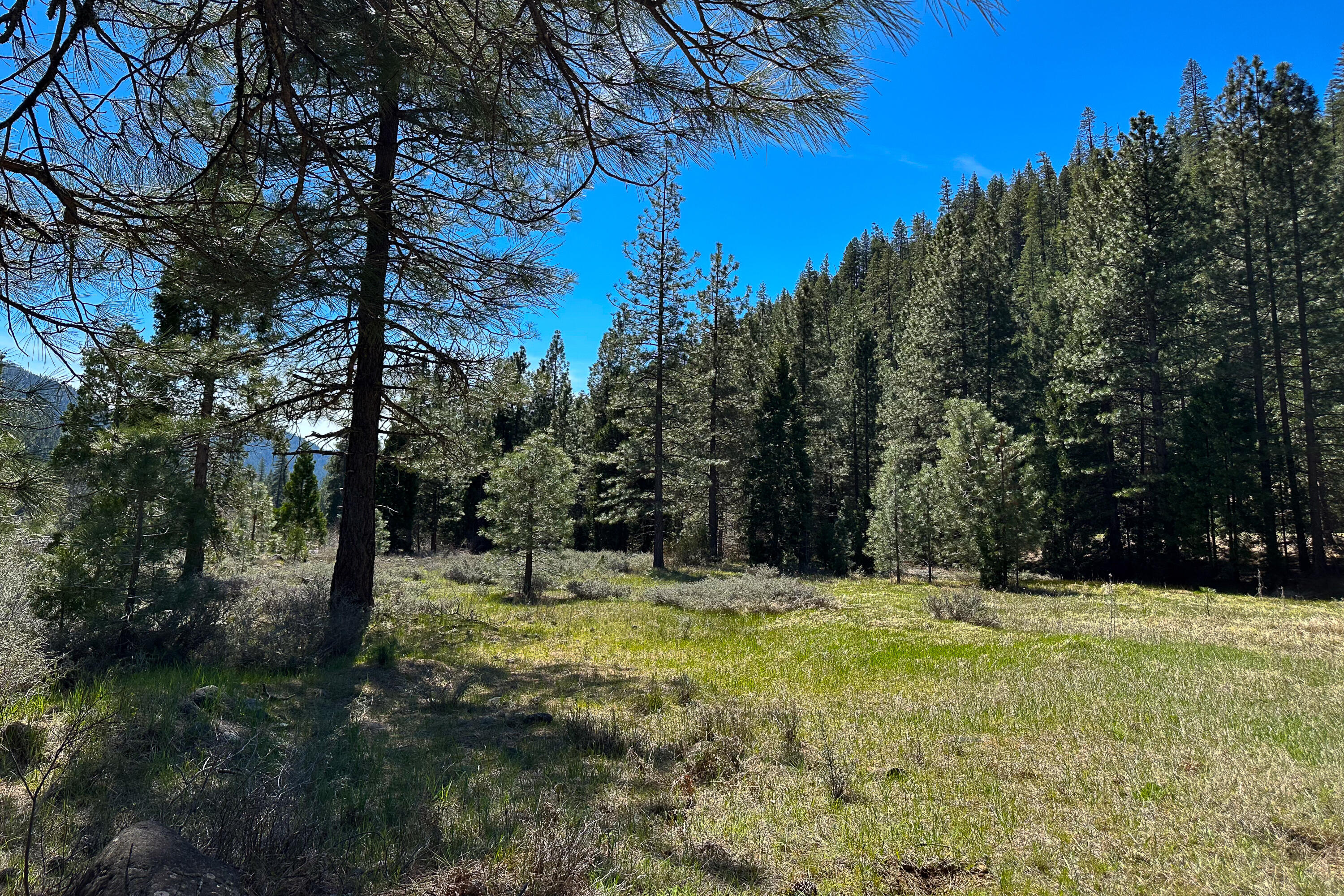 79402 Highway 3 Trinity Center, CA 96091 - Photo 19 of 35 Photo 0034300900 W