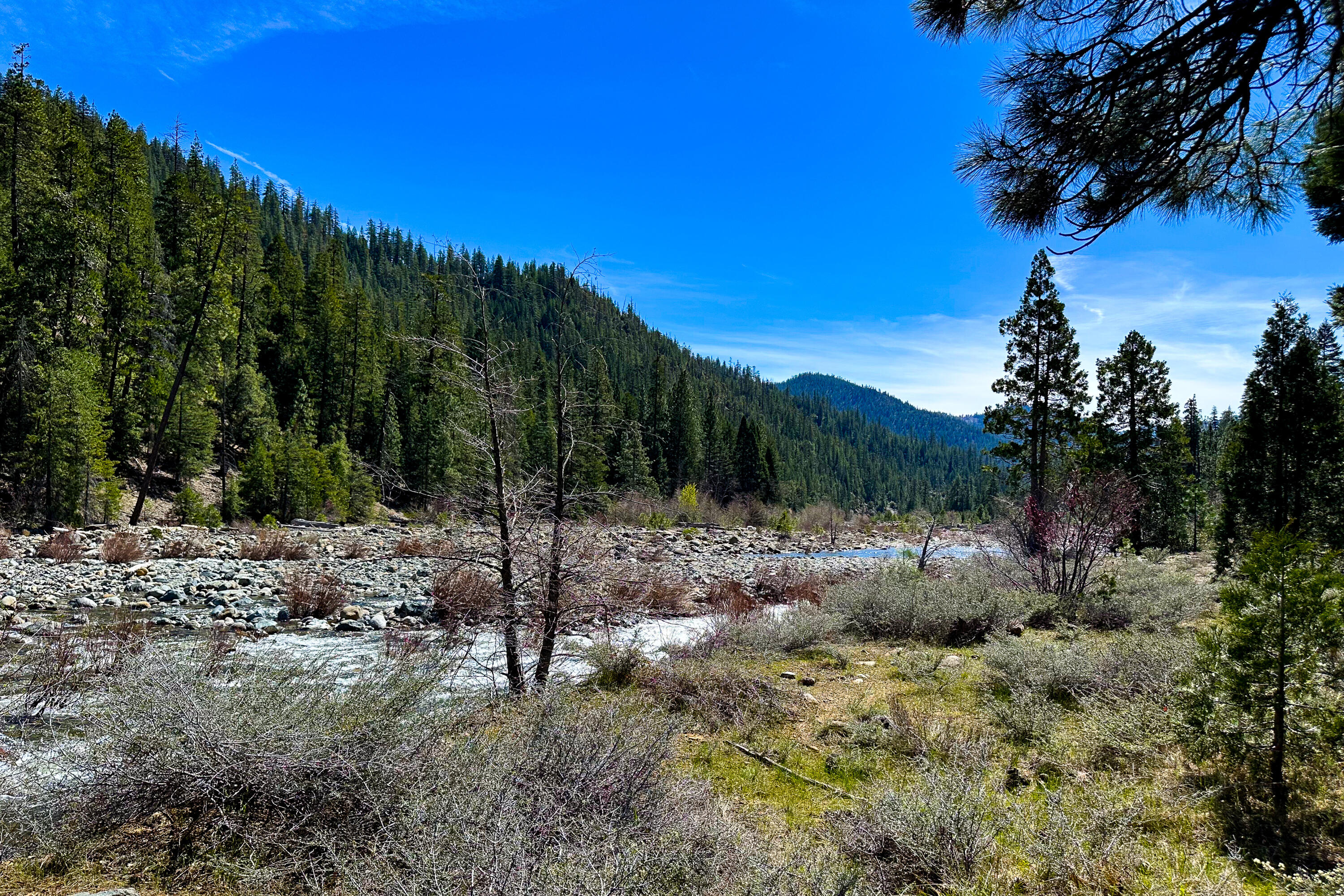 79402 Highway 3 Trinity Center, CA 96091 - Photo 20 of 35 Photo 0034300900 Z 4