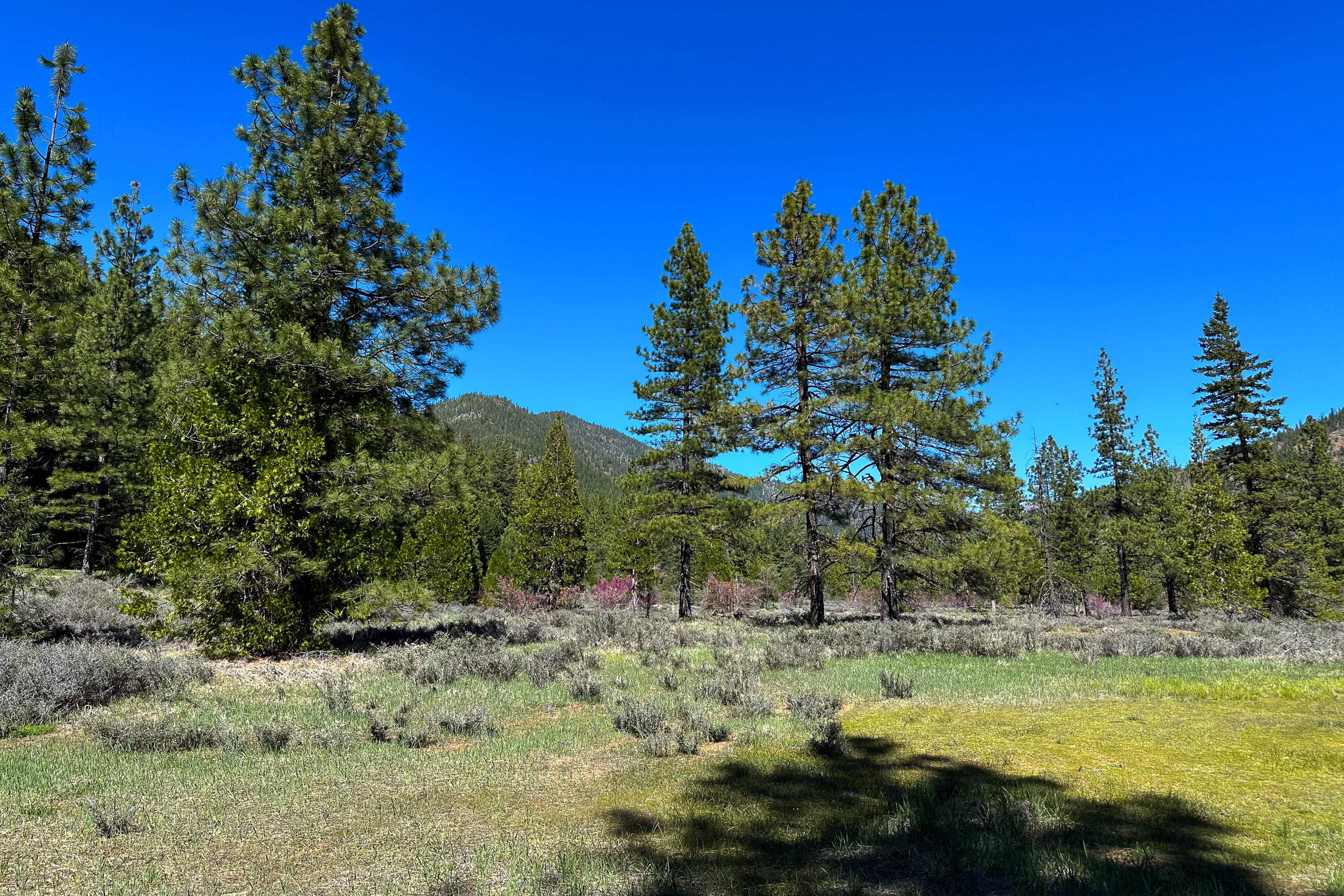 79402 Highway 3 Trinity Center, CA 96091 - Photo 2 of 35 Photo 0034300900 O