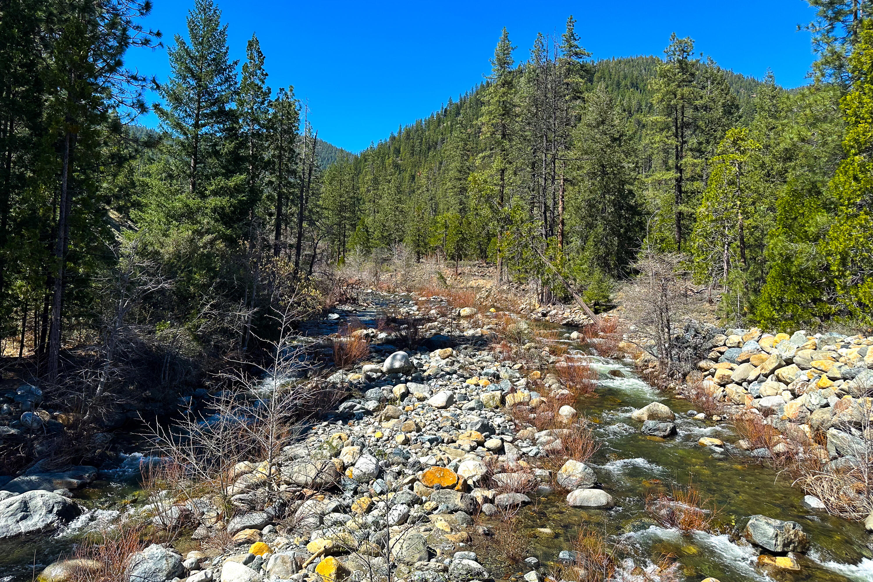 79402 Highway 3 Trinity Center, CA 96091 - Photo 21 of 35 Photo 0034300900 Z 21