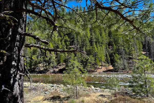 $40,000 | 79402 Highway 3, Trinity Center, CA 96091