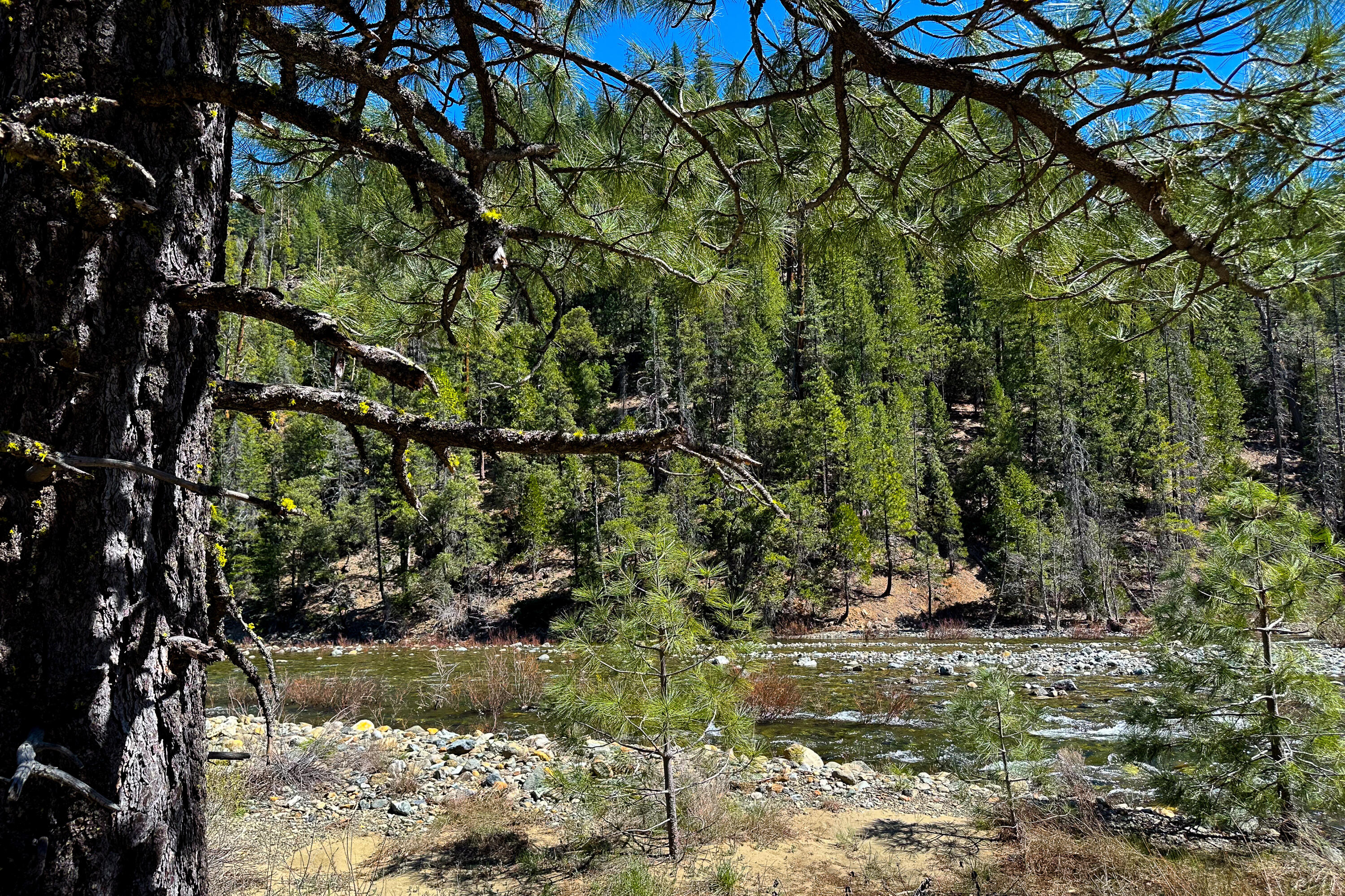 79402 Highway 3 Trinity Center, CA 96091 - Photo 22 of 35 Photo 0034300900 Z 7