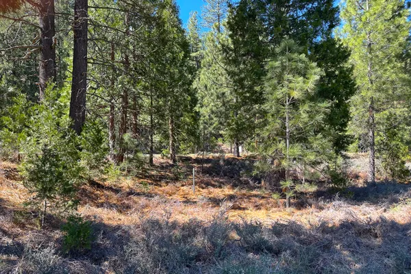 $40,000 | 79402 Highway 3, Trinity Center, CA 96091