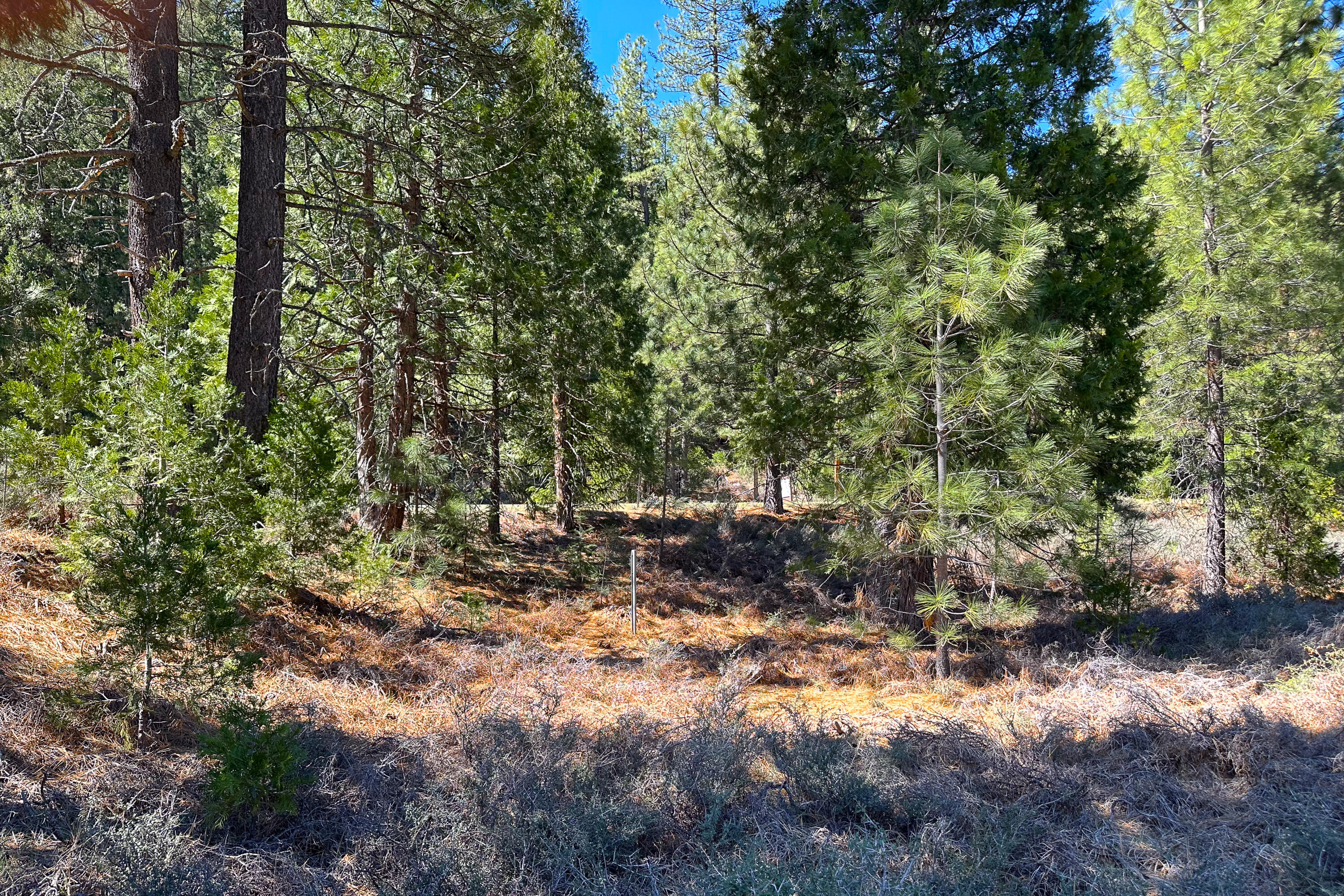 79402 Highway 3 Trinity Center, CA 96091 - Photo 23 of 35 Photo 0034300900 Z 9