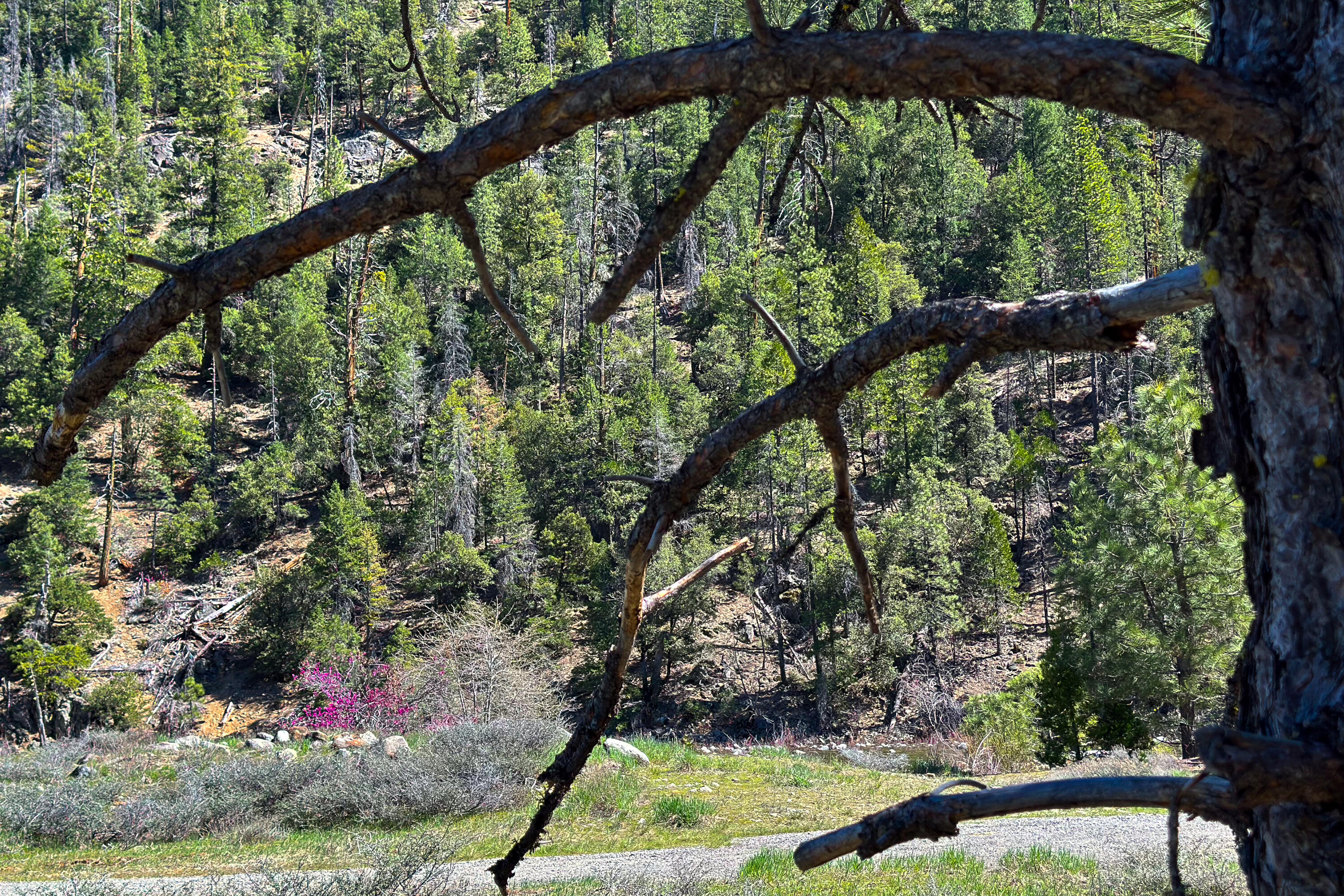 79402 Highway 3 Trinity Center, CA 96091 - Photo 26 of 35 Photo 0034300900 Z 10