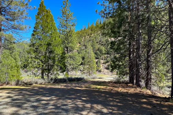 $40,000 | 79402 Highway 3, Trinity Center, CA 96091