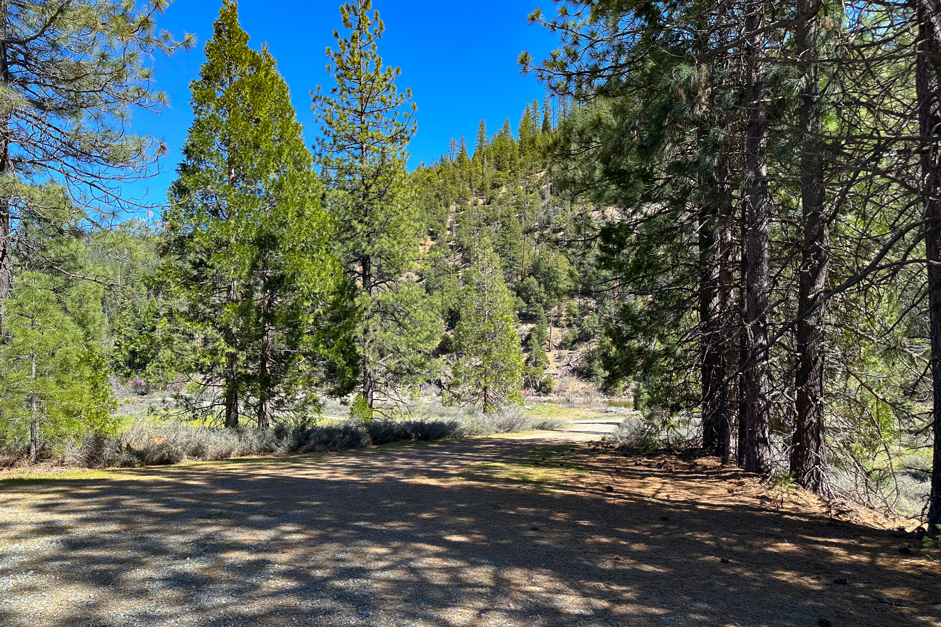 79402 Highway 3 Trinity Center, CA 96091 - Photo 29 of 35 Photo 0034300900 Z 13