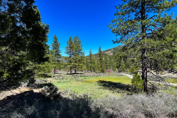 $40,000 | 79402 Highway 3, Trinity Center, CA 96091