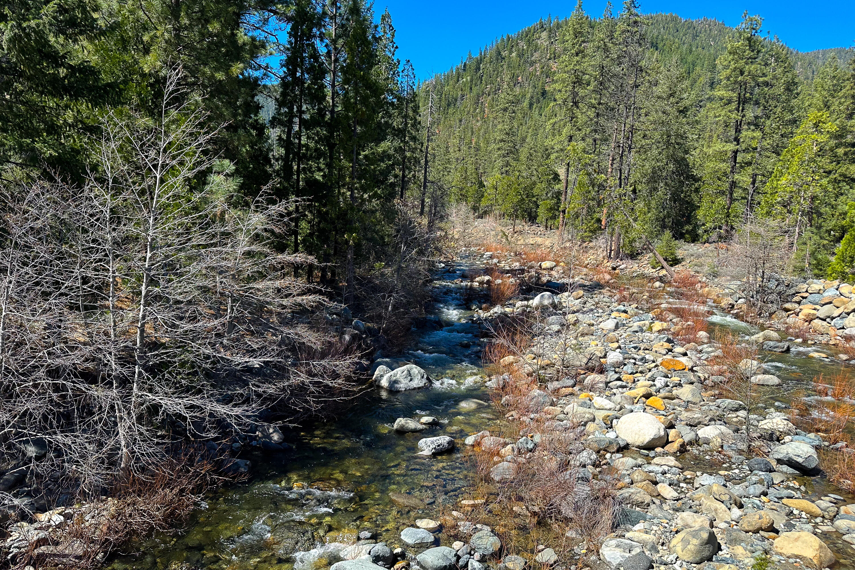 79402 Highway 3 Trinity Center, CA 96091 - Photo 35 of 35 Photo 0034300900 Z 20