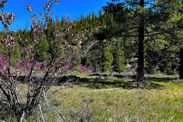 $40,000 | 79402 Highway 3, Trinity Center, CA 96091