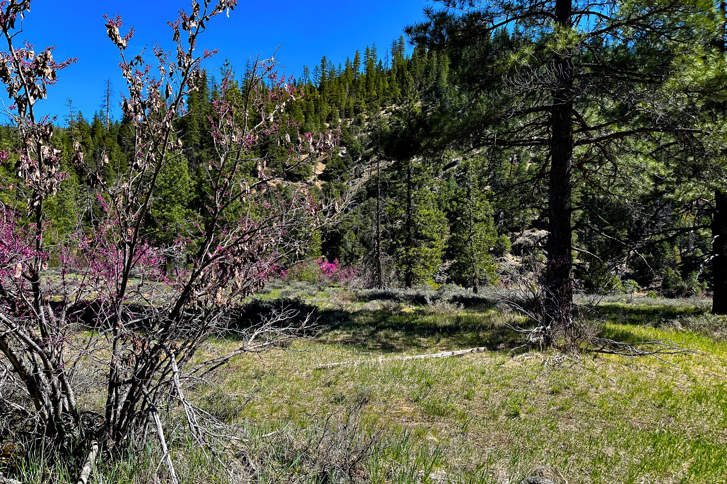 79402 Highway 3 Trinity Center, CA 96091 - Photo 4 of 35 Photo 0034300900 D