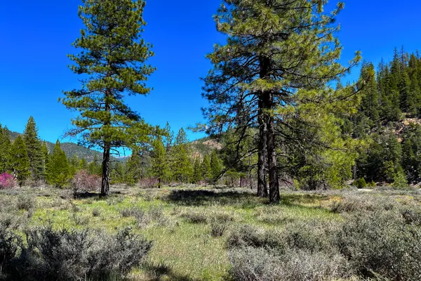 $40,000 | 79402 Highway 3, Trinity Center, CA 96091