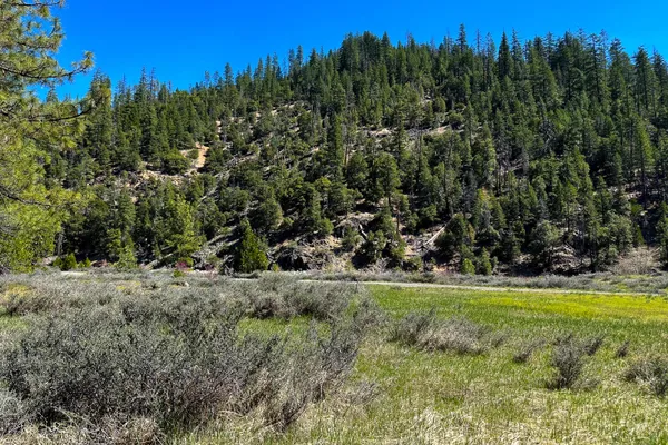 $40,000 | 79402 Highway 3, Trinity Center, CA 96091