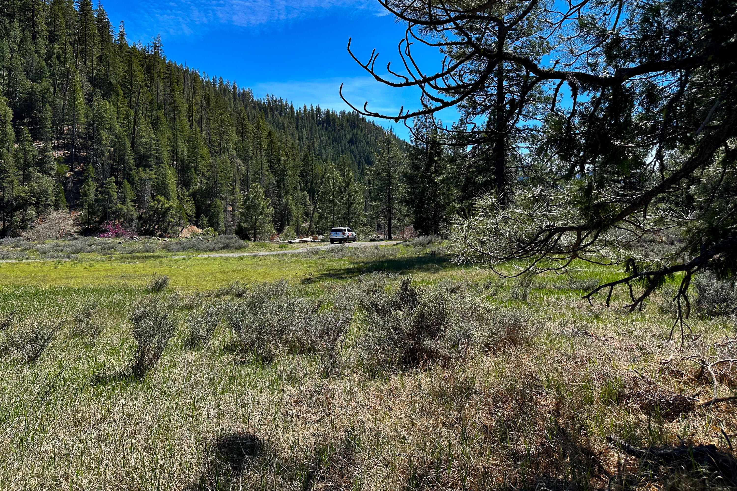 79402 Highway 3 Trinity Center, CA 96091 - Photo 8 of 35 Photo 0034300900 I