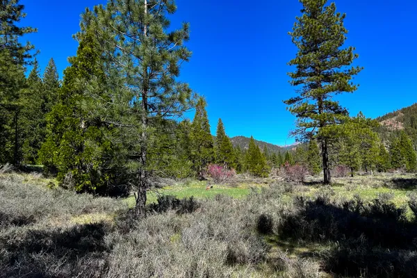 $40,000 | 79402 Highway 3, Trinity Center, CA 96091