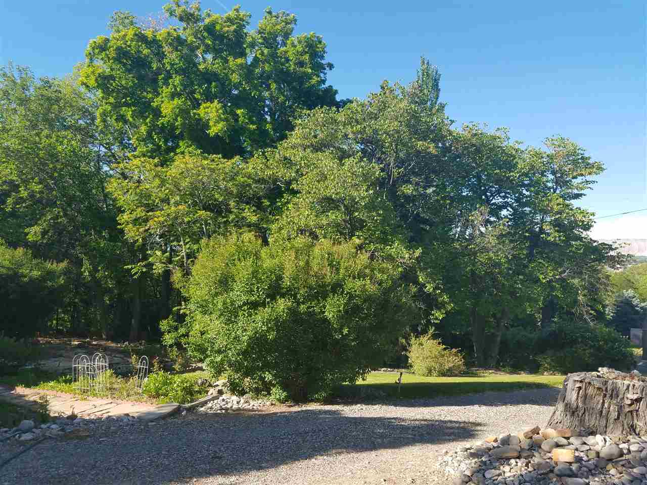 117 Donaldson Road Grand Junction, CO 81507 - Photo 20 of 26 Gallery Image 20
