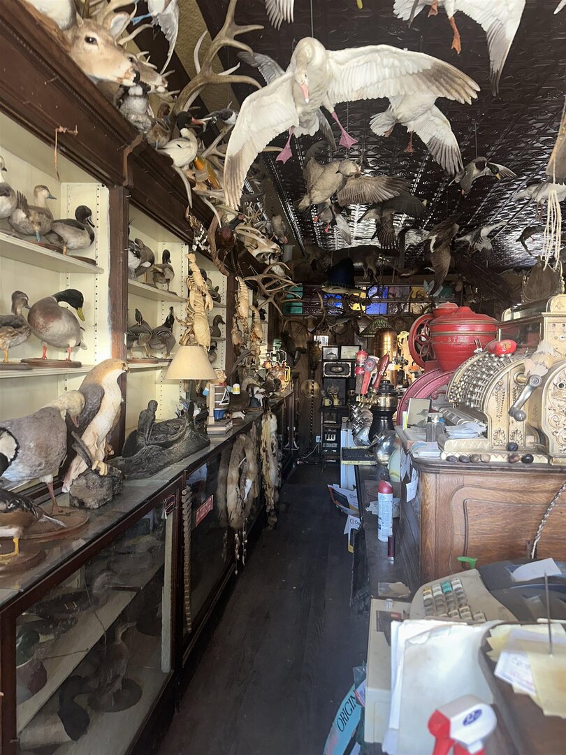 4 Main Street Alto Pass, IL 62905 - Photo 6 of 11