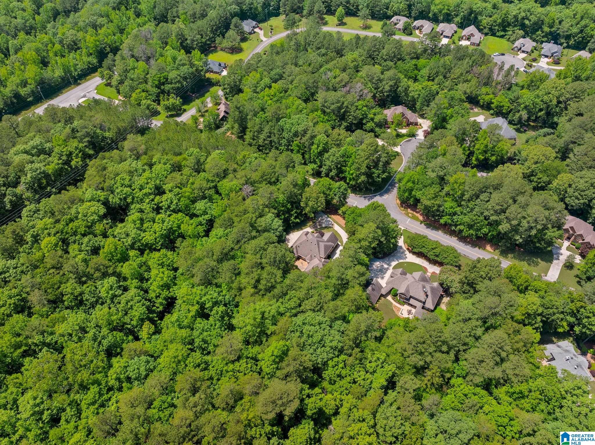 150 St Andrews Parkway Oneonta, AL 35121 - Photo 87 of 98