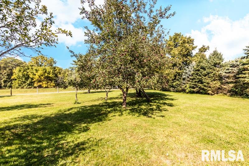 18100 River Road Danvers, IL 61732 - Photo 44 of 50