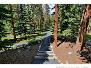 1944 Soda Ridge Road, Unit 229 Keystone, CO 80435 - Photo 22 of 25 a view of a pathway of a yard