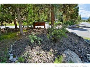 1944 Soda Ridge Road, Unit 229 Keystone, CO 80435 - Photo 23 of 25 a view of a park with large trees