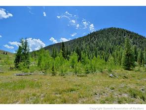 1944 Soda Ridge Road, Unit 229 Keystone, CO 80435 - Photo 24 of 25 a view of an outdoor space and a yard