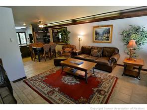 1944 Soda Ridge Road, Unit 229 Keystone, CO 80435 - Photo 8 of 25 a living room with furniture and a potted plant