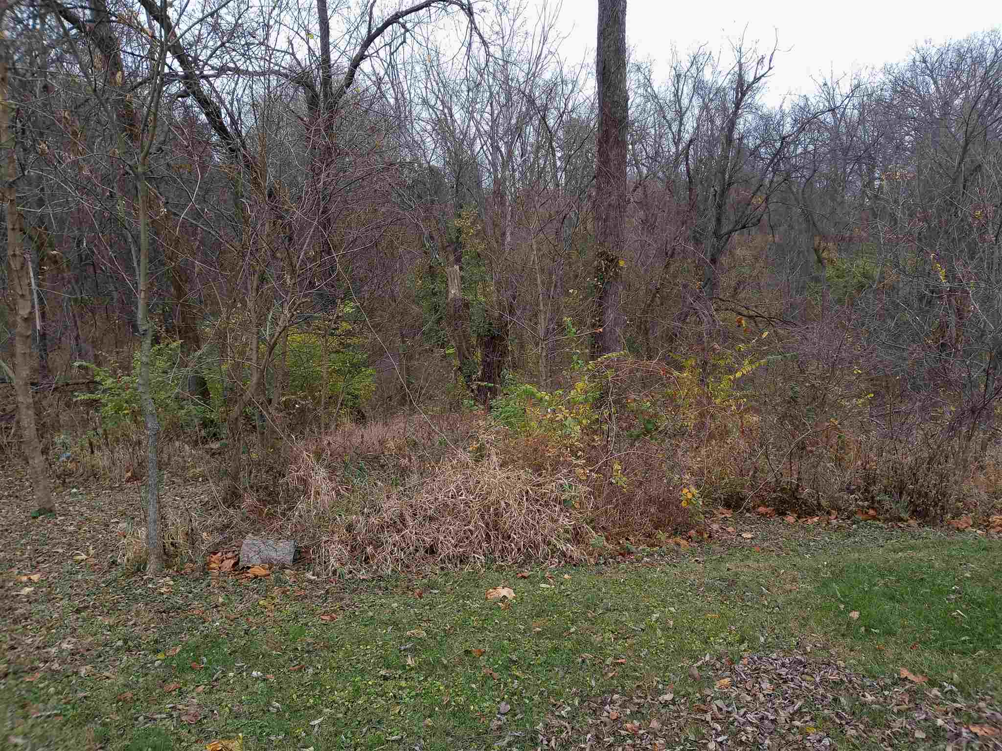 415 Bailey Scales Road Bedford, IN 47421 - Photo 7 of 7