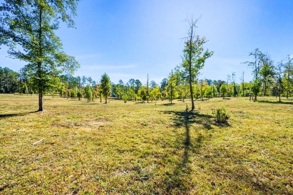 1189 Paul Harris Road Dallas, GA 30157 - Photo 15 of 44 a view of yard with tree