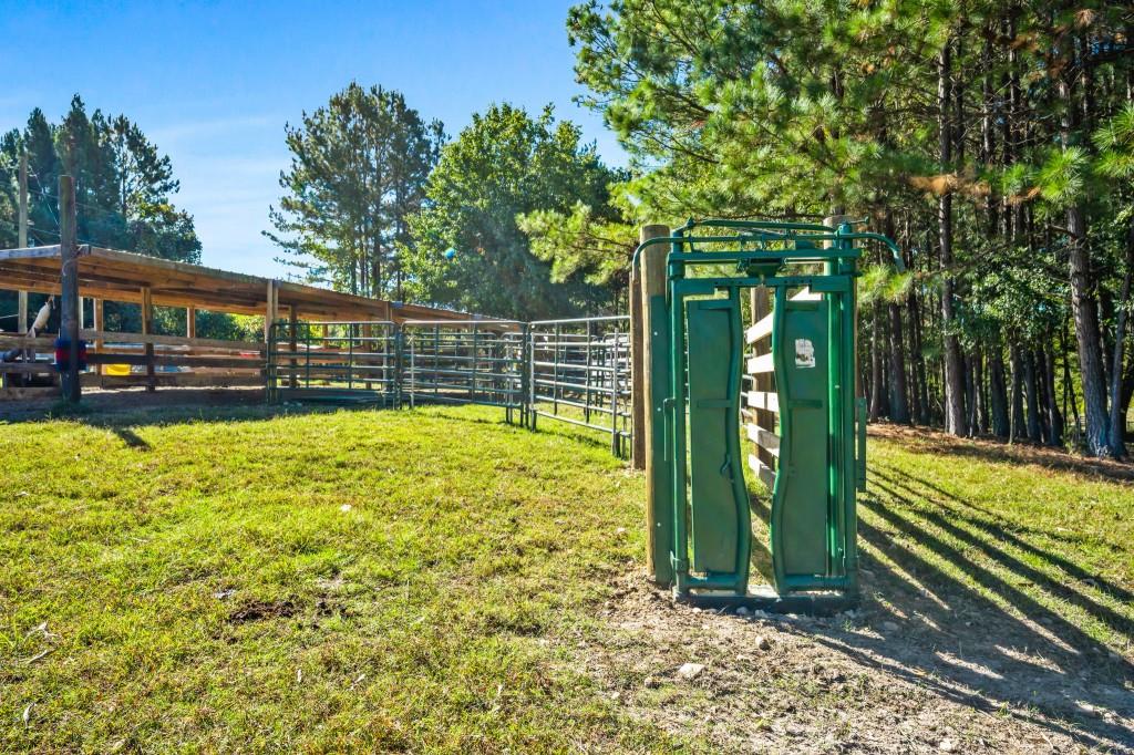 1189 Paul Harris Road Dallas, GA 30157 - Photo 21 of 44 a view of a yard with plants