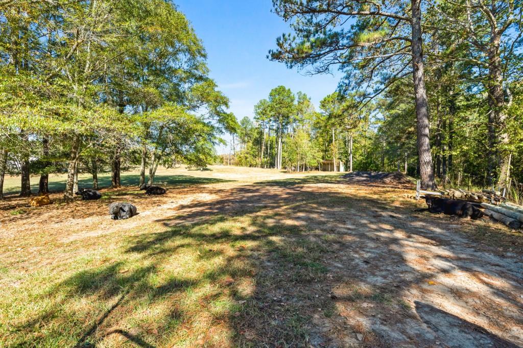 1189 Paul Harris Road Dallas, GA 30157 - Photo 24 of 44 a view of road with large trees