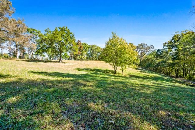 a view of a big yard with large trees