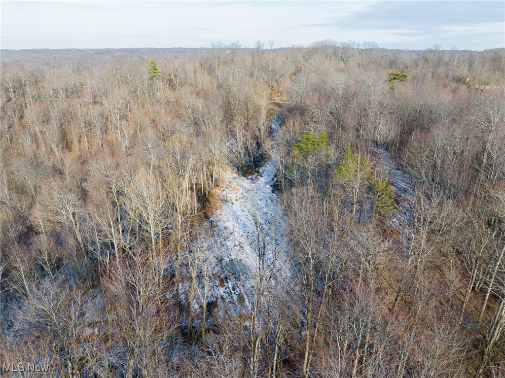 9 County Road New Matamoras, OH 45767 - Photo 41 of 48 Aerial view of a heavily wooded area
