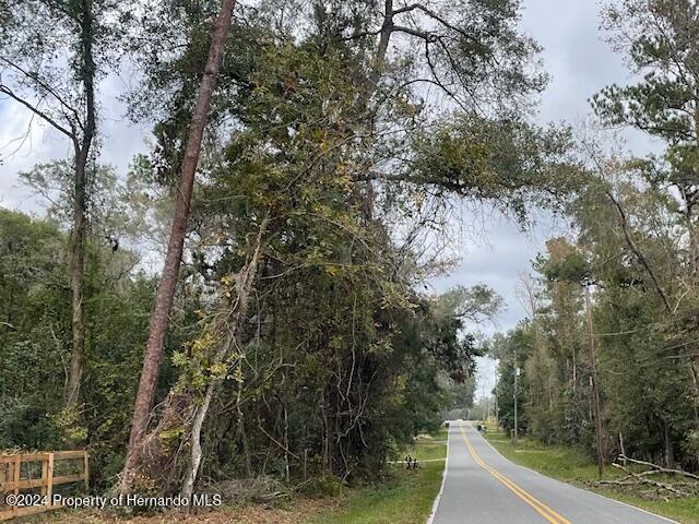 0 Mitchell Road Brooksville, FL 34601 - Photo 2 of 12